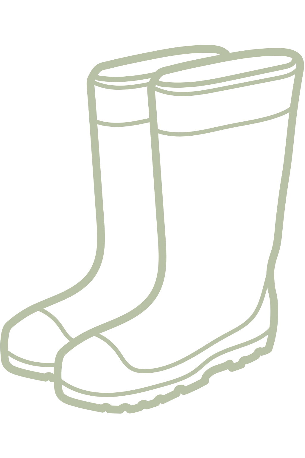 Botas
